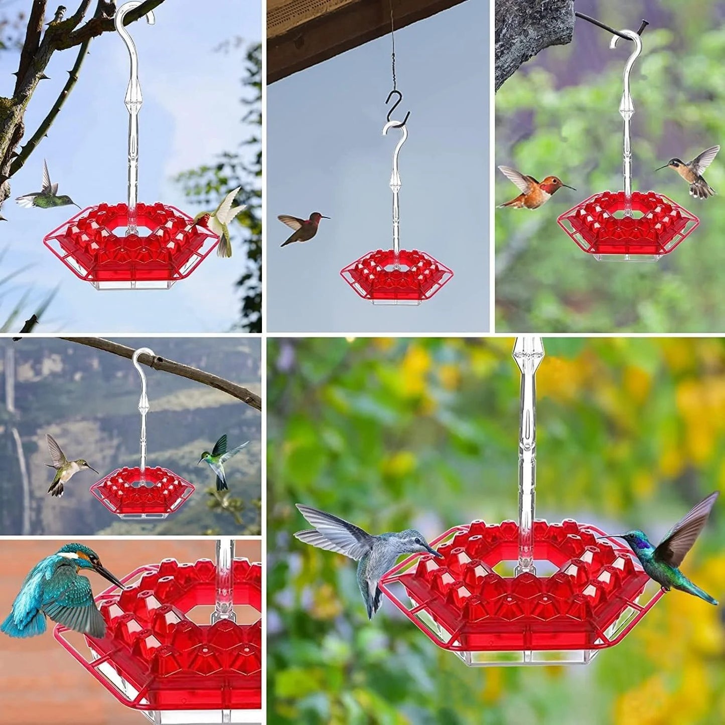 Hummingbird Feeder β Attract & Nourish Beautiful Hummingbirds!