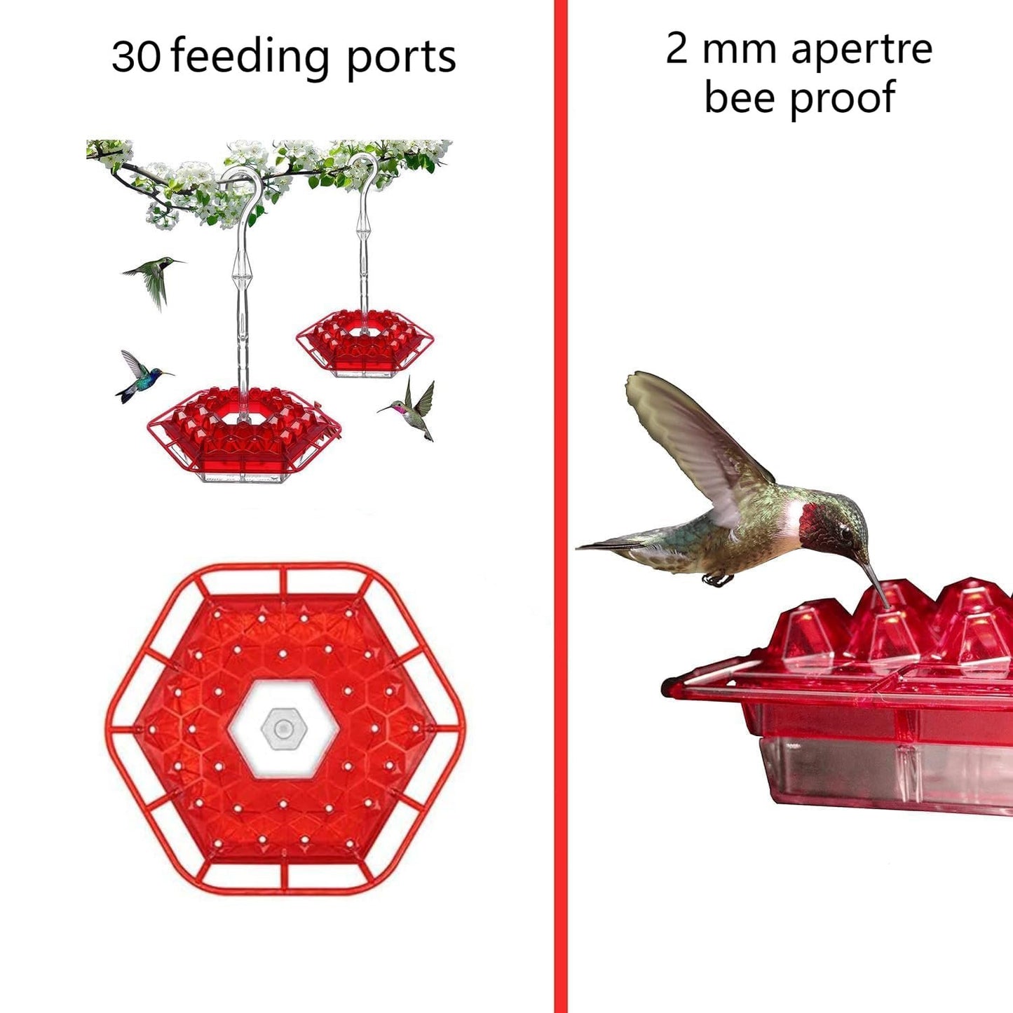 Hummingbird Feeder β Attract & Nourish Beautiful Hummingbirds!