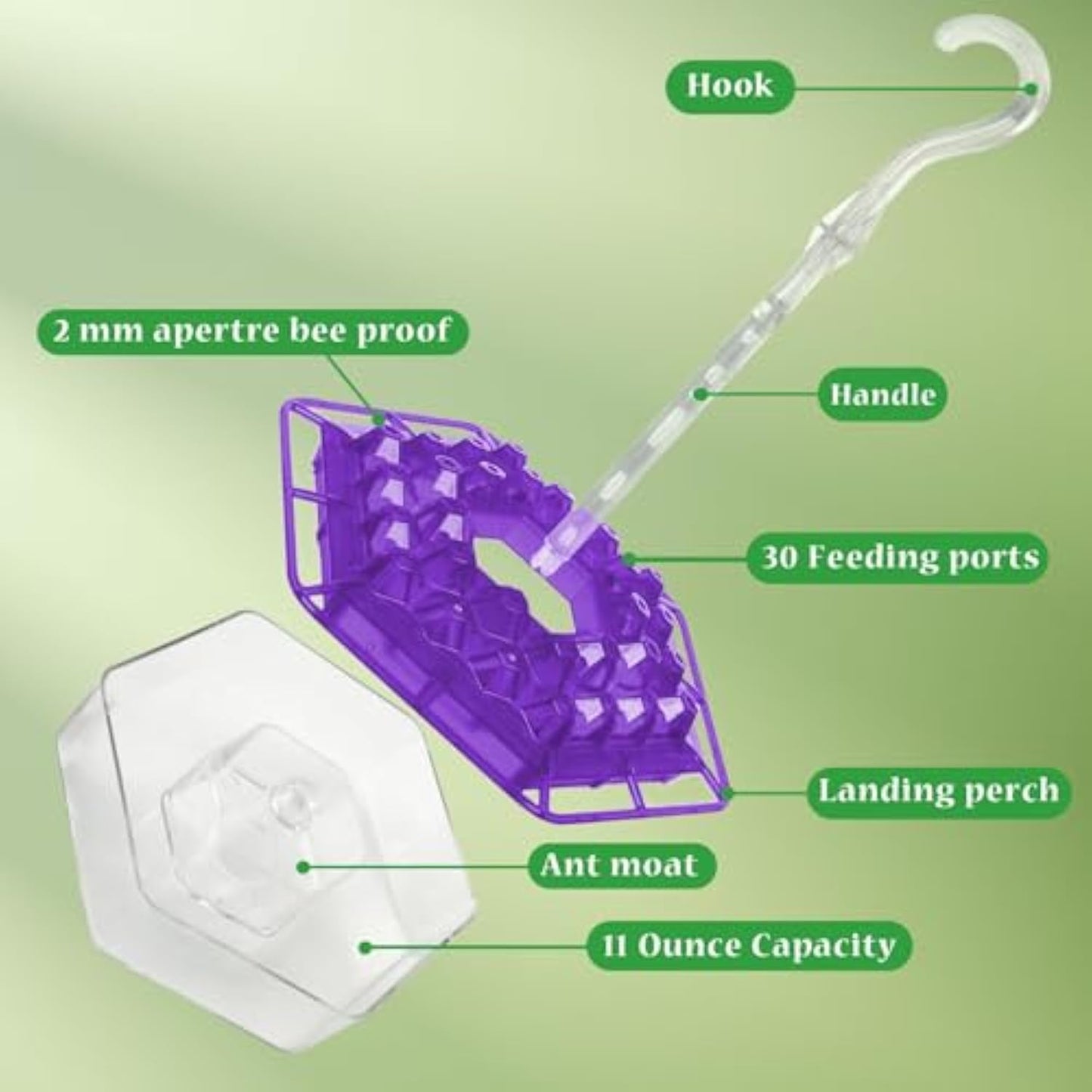 Hummingbird Feeder β Attract & Nourish Beautiful Hummingbirds!